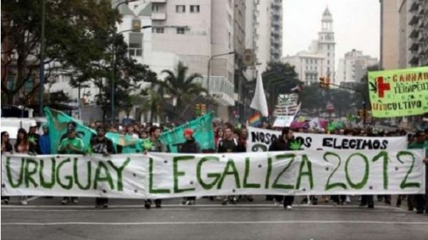 Comunicado de la Asociación de Química y Farmacia del Uruguay (AQFU) sobre la “legalización y venta de marihuana en Uruguay”