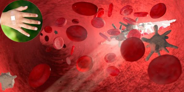 LA CAPACIDAD DEL CUERPO HUMANO DE REPARAR LAS HERIDAS