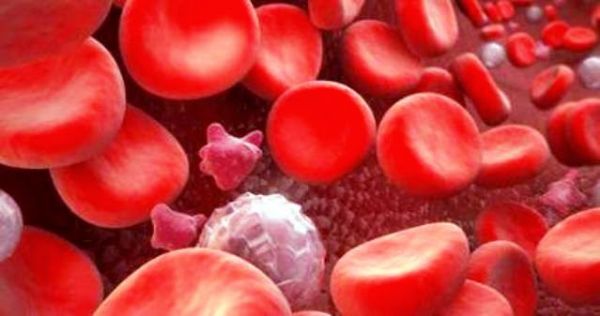 FÁRMACO CONTRA LA LEUCEMIA PODRÍA ELIMINAR A LAS CÉLULAS CANCERÍGENAS