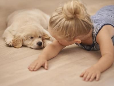TENER PERRO REDUCE EL RIESGO DE ASMA EN LOS NIÑOS