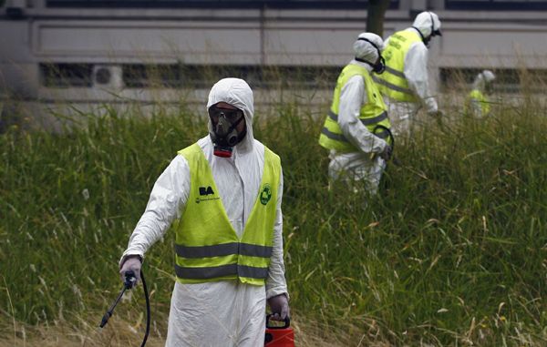 ALERTA DENGUE: LA CIRCULACIÓN VIRAL EN LA ZONA METROPOLITANA GENERA TRES CASOS AUTÓCTONOS POR DÍA
